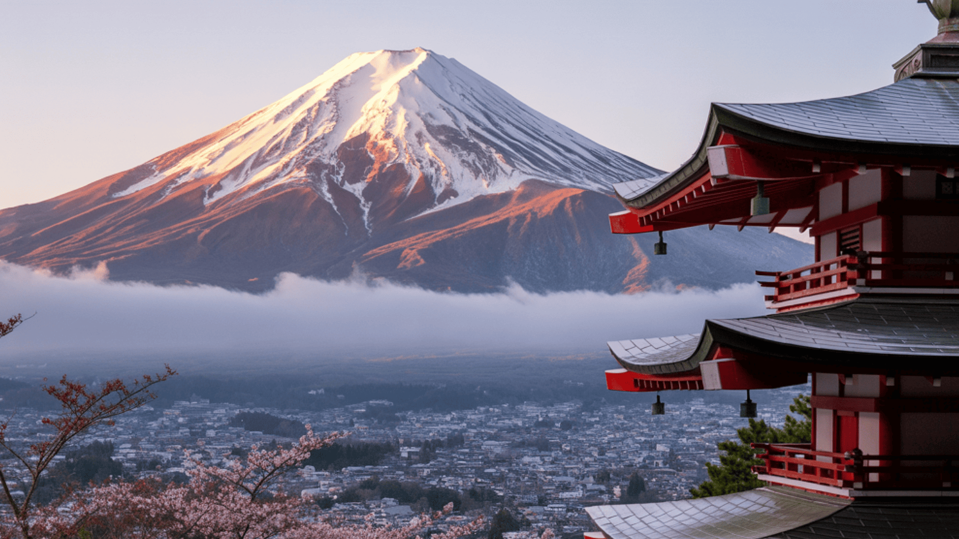 Visa Jepang Waiver e-Passport